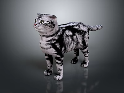 Gray And White Striped Cat Standing On Reflective Floor With Gray Background 3d model