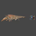 Whole Fresh Lobster Displayed with Colorful Rubik's Cube on Gray Background