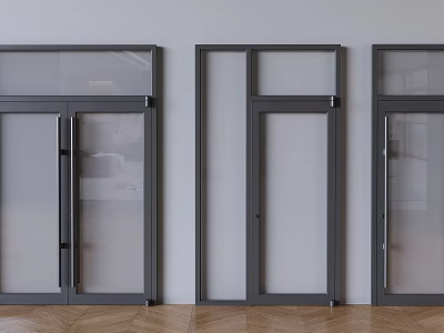 Contemporary Interior Swing Doors With Glass Panels And Dark Frames Design 3d model