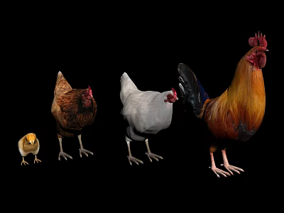 Various Flying Animals Including Chicks Hens And Roosters Of Different Sizes Together 3d model