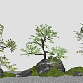 arbor modeling tree fern zen landscape tree stone micro-terrain 3d model