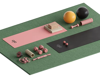 Yoga Studio With Green Pink Black Mats Yoga Balls Dumbbells And Foam Rollers 3d model