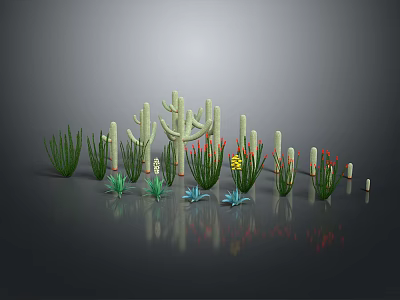 Various Cactus And Succulent Plants With Different Heights Shapes Gray Background 3d model