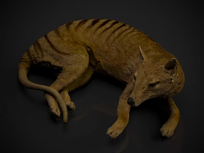 Detailed 3D Reptile Model With Striped Skin Lying On Dark Surface 3d model