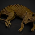 Detailed 3D Reptile Model With Striped Skin Lying On Dark Surface