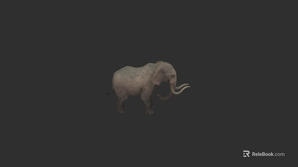 Gray Elephant 3D Rendering With Long Trunk And Curved Tusks 3d model 
