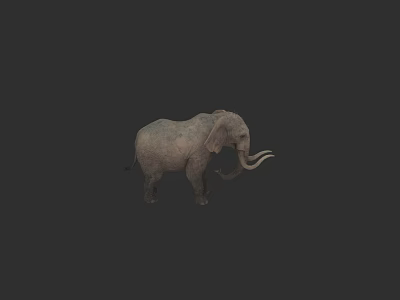 Gray Elephant 3D Rendering With Long Trunk And Curved Tusks 3d model