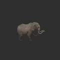 Gray Elephant 3D Rendering With Long Trunk And Curved Tusks 3d model