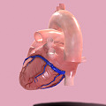 The Modern Heart 3d model