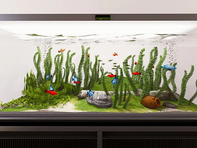 Beautiful Aquarium Fish Tank With Green Aquatic Plants Colorful Fish Stones And Clear Water 3d model