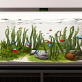 Beautiful Aquarium Fish Tank With Green Aquatic Plants Colorful Fish Stones And Clear Water