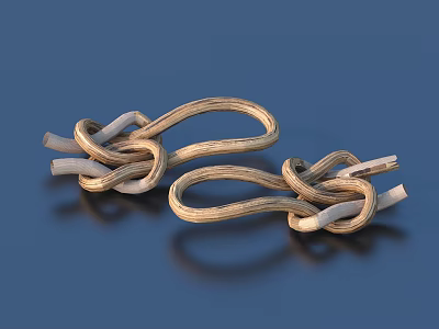 Household Decorative Rope Knots On Reflective Surface With Brown White Shiny Ropes 3d model