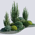 Garden Plant Combination With Tall Shrubs Low Herbs Decorative Rocks And Gravel Ground