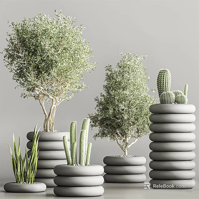 Stylish Bonsai Potted Plants With Olive Trees Cacti And Aloe In Gray Stacked Cylindrical Planters 3d model 