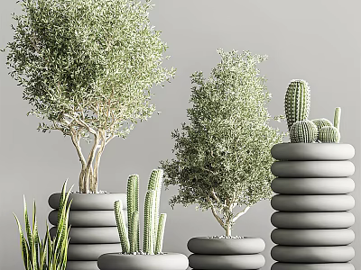 Stylish Bonsai Potted Plants With Olive Trees Cacti And Aloe In Gray Stacked Cylindrical Planters 3d model