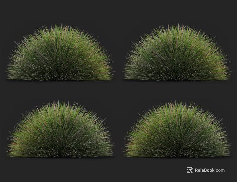 Lush Round Green Ornamental Grass Clumps For Garden Landscaping Decoration 3d model 