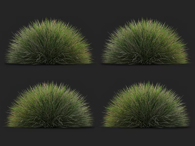 Lush Round Green Ornamental Grass Clumps For Garden Landscaping Decoration 3d model
