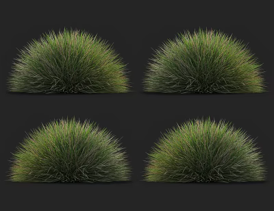 Lush Round Green Ornamental Grass Clumps For Garden Landscaping Decoration 3d model