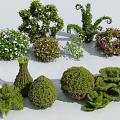 Various Shaped Decorative Shrubs With Colorful Flowers For Garden Landscaping