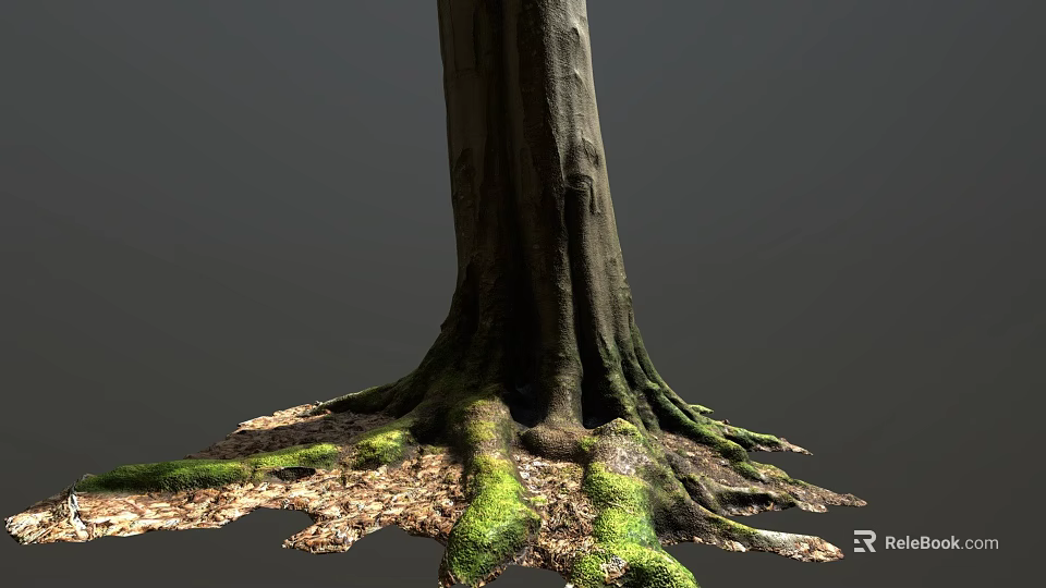 Tree Trunk With Moss Covered Roots And Fallen Leaves On Natural Ground 3d model 