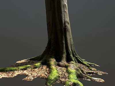 Tree Trunk With Moss Covered Roots And Fallen Leaves On Natural Ground 3d model