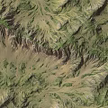 Natural Garden Landscape With Rolling Terrain And Lush Green Vegetation