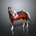 Realistic Detailed Brown and White Horse Standing on Dark Background With Reflection