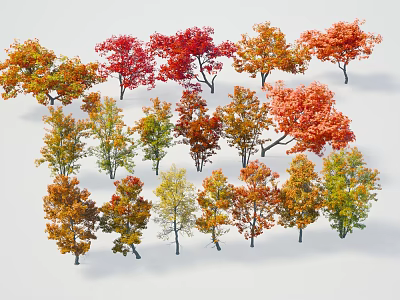 Colorful Autumn Trees Featuring Red Orange Yellow Green And Multi Colored Foliage Types 3d model