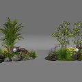 Diverse Outdoor Plant Combination With Palm Shrub Flowers And Rocks For Garden Landscaping
