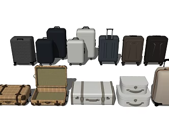 Modern Luggage 3d model
