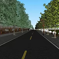 Urban Municipal Road with Green Trees Street Lamps and Yellow Dividing Lines