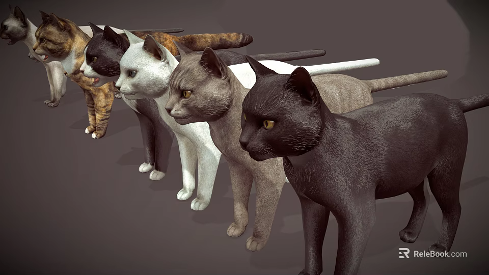 Various Colored Cats Standing Together In A Row With Distinct Fur Patterns 3d model 