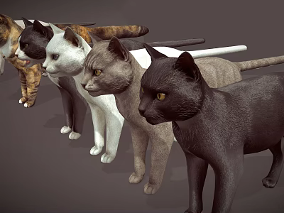 Various Colored Cats Standing Together In A Row With Distinct Fur Patterns 3d model