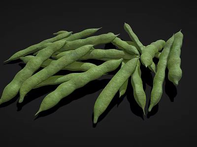 Fresh Green Bean Pods Arranged On Black Background Surface 3d model