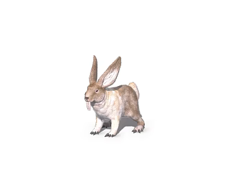 wild animals rabbit hare 3d model