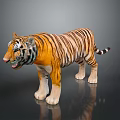 Realistic 3D Tiger Model With Orange Stripes White Belly Open Mouth And Gray Background