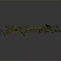 Green Vines With Twisted Branches And Lush Leaves On Black Background With Reflection
