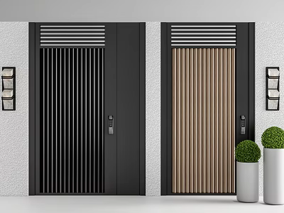 Modern Exterior Entrance Doors With Vertical Slats And Potted Plants 3d model