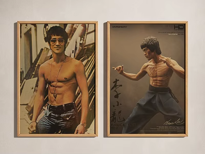 Bruce Lee Character Portrait Posters Framed With Martial Arts Poses And Vintage Design 3d model