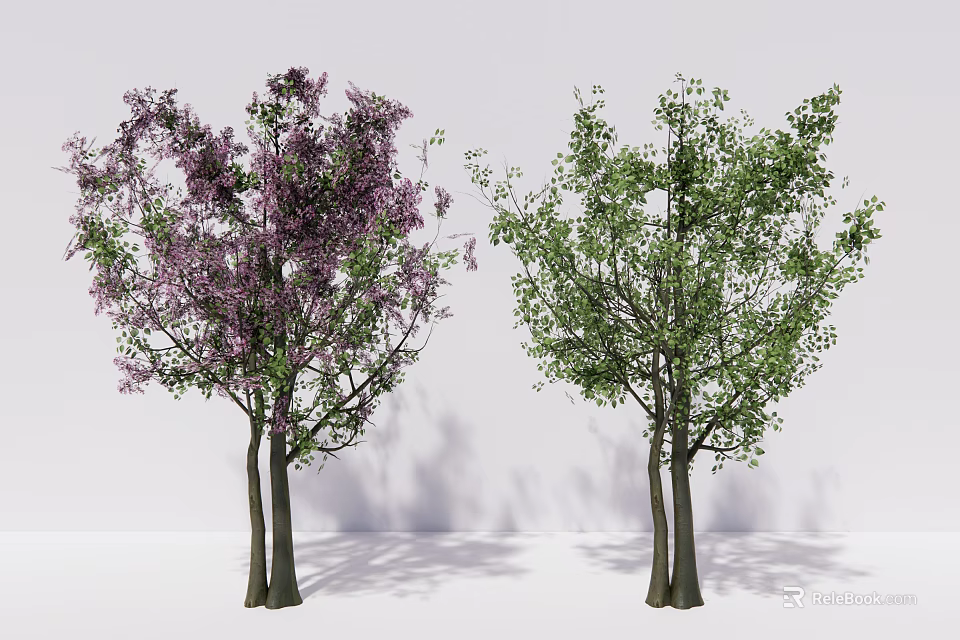 Two Tall Trees With Blooming Purple Flowers And Lush Green Leaves 3d model 
