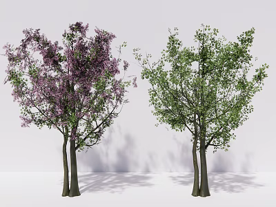 Two Tall Trees With Blooming Purple Flowers And Lush Green Leaves 3d model