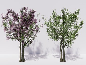 Modern Trees Lilac Shrub Plants 3d model