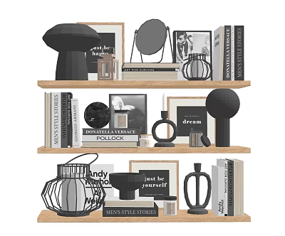 Decorative Ornaments Set on Wooden Shelves with Mirror Framed Art Books Lantern 3d model
