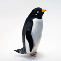 Cute Black And White Penguin Doll With Orange Beak Standing On White Background