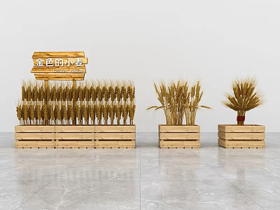 Golden Wheat Bonsai Potted Plants Arranged In Wooden Crates With Display Shelves 3d model