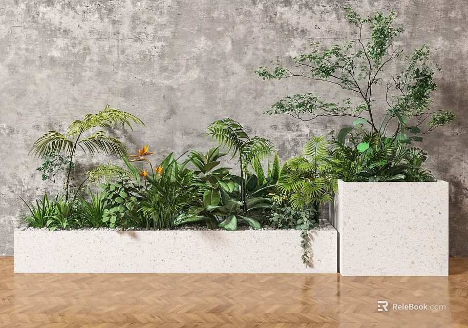 Lush Bonsai Potted Plants in White Rectangular Planters Against Gray Wall on Herringbone Wooden Floor 3d model 