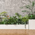 Lush Bonsai Potted Plants in White Rectangular Planters Against Gray Wall on Herringbone Wooden Floor