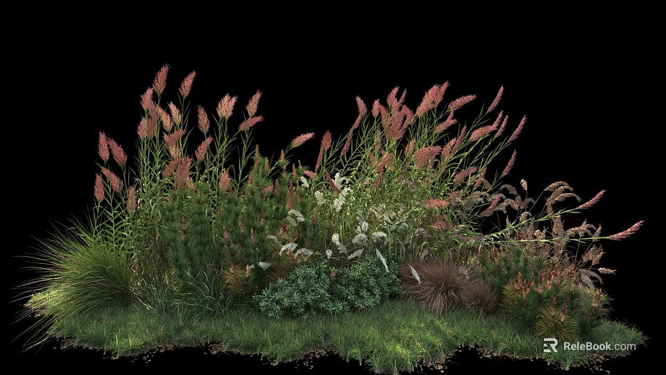 Diverse Garden Shrubs With Green Foliage And Feathery Pink Plumes 3d model 