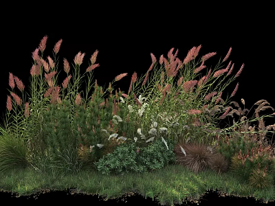 Diverse Garden Shrubs With Green Foliage And Feathery Pink Plumes 3d model