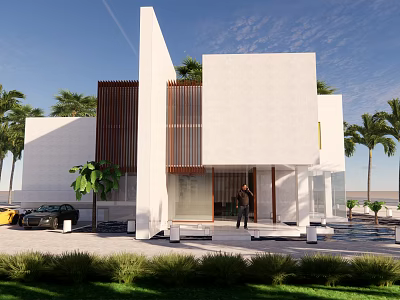 Modern Detached Villa With White Exterior Brown Wooden Accents Palm Trees And Front Lawn 3d model